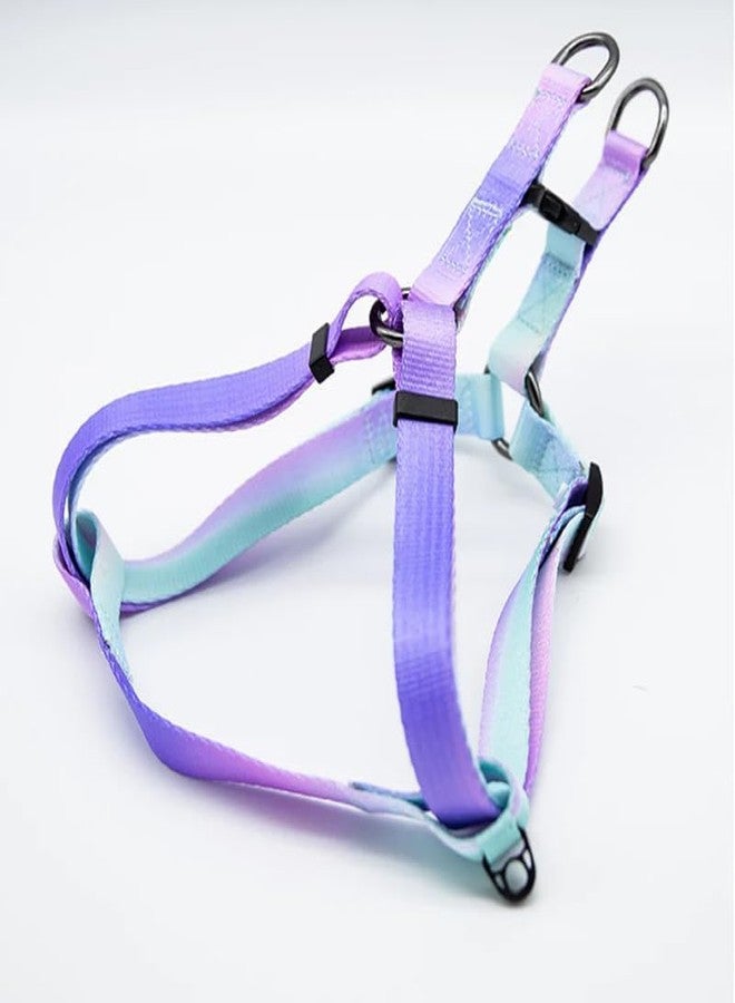 KittuPet طقم سرج ومقود للكلاب من KittuPet، قابل للتعديل، آمن، مصنوع من النايلون، مناسب للمشي في الهواء الطلق، لون متوسط متدرج بين البنفسجي والأبيض (15 مم). - Image 4